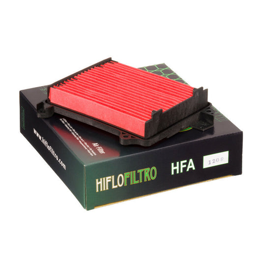 Filtro de aire Hiflofiltro HFA1209 para motocicleta