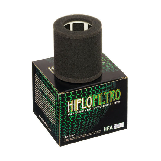 Filtro de aire Hiflofiltro HFA2501 para motocicleta