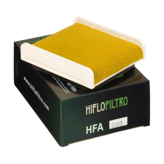 Filtro de aire Hiflofiltro HFA2503 para motocicleta