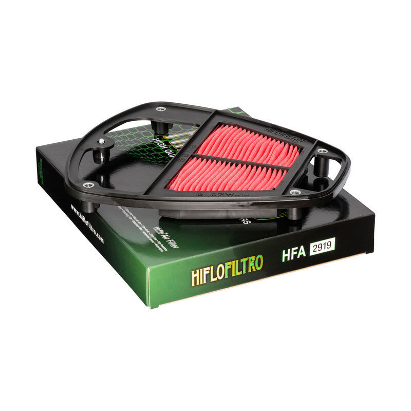 Filtro de aire Hiflofiltro HFA2919 para motocicleta