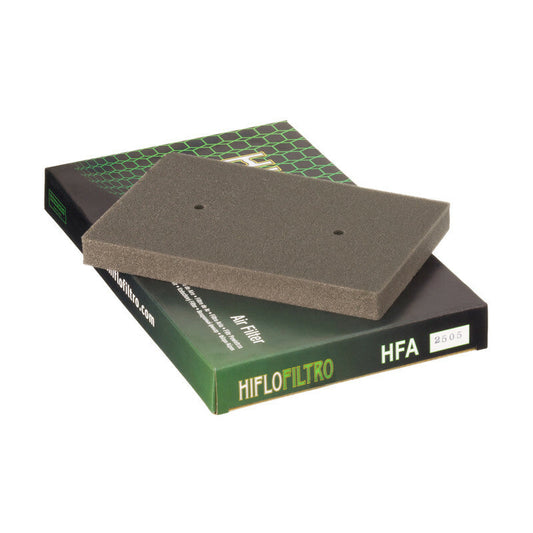 Filtro de aire Hiflofiltro HFA2505 para motocicleta