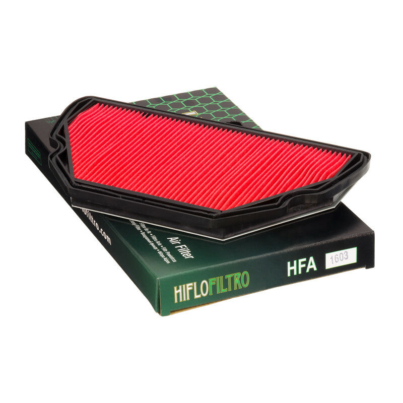 Filtro de aire Hiflofiltro HFA1603 para motocicleta
