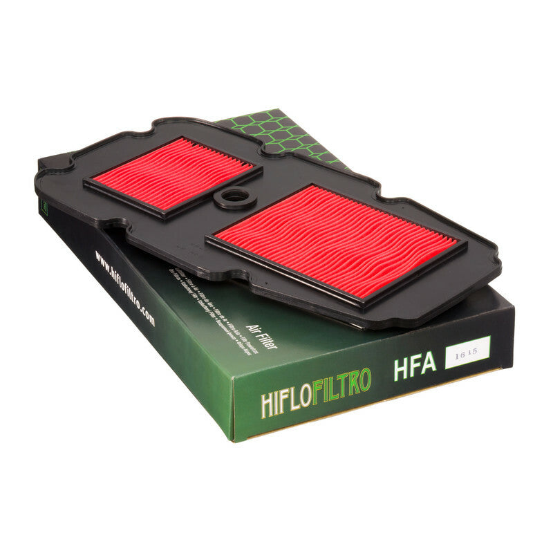Filtro de aire Hiflofiltro HFA1615 para motocicleta